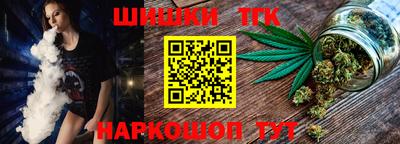 индика Камышлов