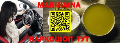 индика Камышлов