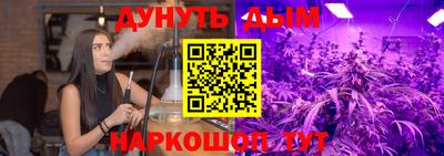 индика Камышлов