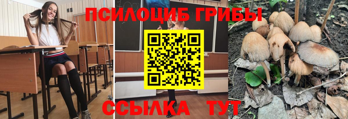 Псилоцибиновые грибы GOLDEN TEACHER Ухта