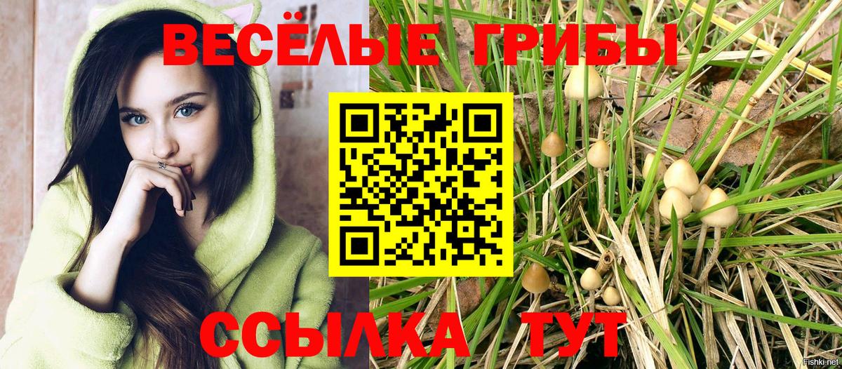 Ухта  Псилоцибиновые грибы Psilocybine cubensis  наркошоп  Вход с VPN  Галлюциногенные грибы мицелий 
